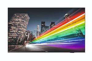 Профессиональный телевизор Philips 55BFL2214/12 RU