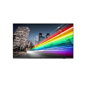 Профессиональный телевизор Philips 65BFL2214/12 
